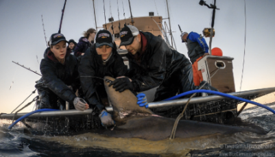 Screenshot 2025 07 01 at 12 11 24 PM